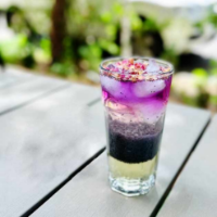 کرشمه (کاسنی، شاه تره، بهارنارنج، گل محمدی)